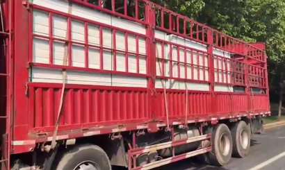 旭東PVC圍擋批發(fā)直供龍崗工地，2500米圍擋當(dāng)天閃電送達(dá)
